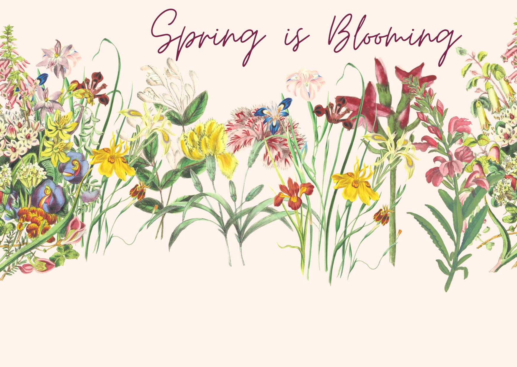 Flower Delivery to Erie by Allburn Florist